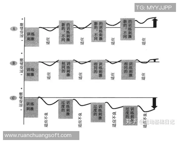 张秀英独家分享羽毛球技巧与训练心得助你提升竞技水平